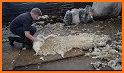 Rolling Wool related image