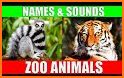 Alpha Zoo - learning animals related image