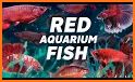 Small Red Fish related image