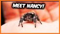 Spider Den related image