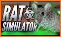 Home Rat simulator related image