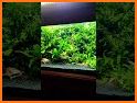 Aquarium Plants Encyclopedia Pro - No Ads related image
