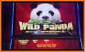 Wild Panda Slot Machines related image