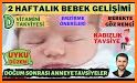 Gün Gün Bebek Bakımı, Gelişimi related image