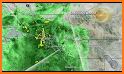 Live Weather Forecast - Radar Maps 2019 related image