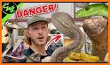 Snake Adventure Tours related image