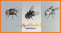Fly 3D related image