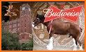 Anheuser-Busch Experience related image