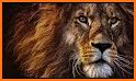 Lions Wallpaper related image