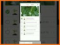 LeafSnap - Plant Identification related image
