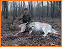 Archer Deer Hunter Free related image