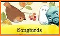 Songbirds related image