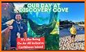 Discovery Cove related image