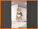 High School Dog Simulator 【Visual Novel】 related image