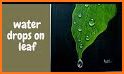 Water Drop Leaf Theme related image