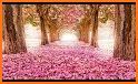 Flower Live Wallpapers HD - Flower background Free related image