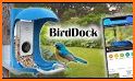 Bird Buddy: Smart Bird Feeder related image