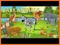 Montessori Vocabulary - Baby Animal Names related image