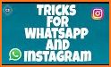 Story Saver For Whatsapp related image