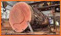 Wood cutting related image