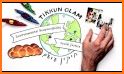 Tikkun: A Universal Jewish Educational Adventure related image