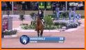 Real Horse World - Showjumping Stunt Challenge 3D related image