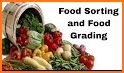 Food Sorting related image