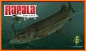 Rapala Fishing - Daily Catch related image
