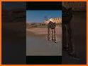 Buggy Playtime - Game related image