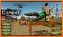 US Army Combat Training: Military Obstacle Course related image