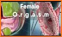 Female Ejaculation Sex ED related image