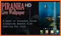 Piranha Aquarium 3D lwp related image