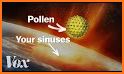 Allergy Plus by Pollen.com related image