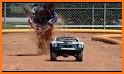 Dune Buggy Car Crash Derby Stunts related image