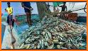 Fish & Catch related image