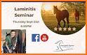 Laminitis related image
