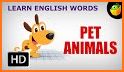 Pet Animals related image