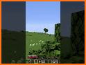 Multishot related image
