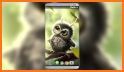 Baby Owls Live Wallpaper related image
