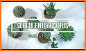 Cactus and Succulent Plants related image