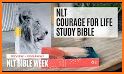 NLT Bible for Study related image