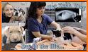 Veterinary Technician related image