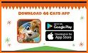 44 Cats - The Game related image
