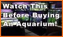 Aquareka - the aquarium guide related image