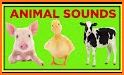 Animal Sound for kids learning related image