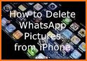 WhatsDelete Pro: Deleted messages & status saver related image
