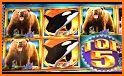 Slot Machine : Bear Slots related image