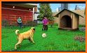 Cute Dog Simulator Puppy Games related image