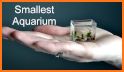 Magic Aquarium - Fish World related image