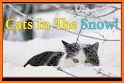 Cute Christmas Snow Cat Theme related image